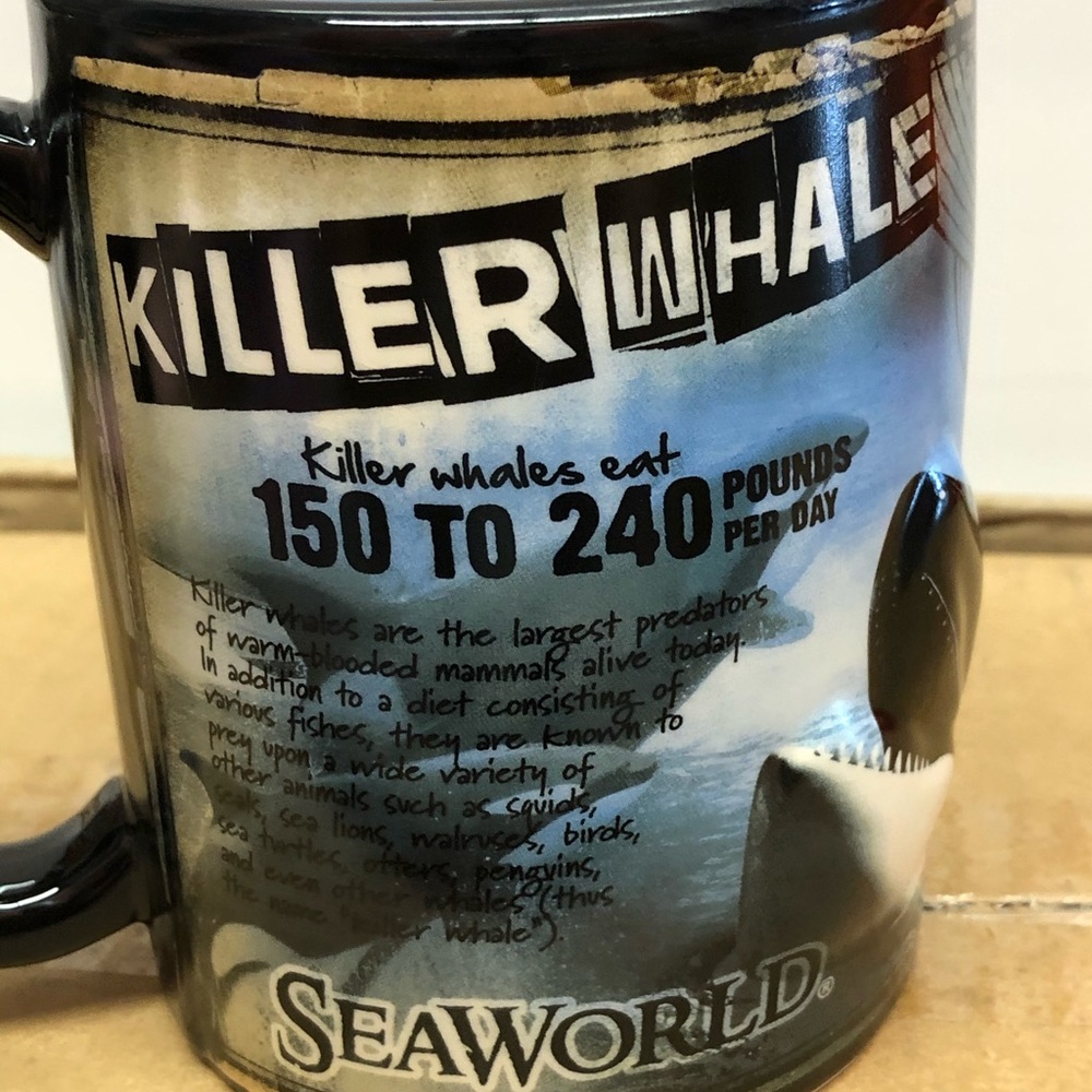 Seaworld Killer Whale Facts Mug